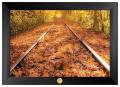 "Train Tracks in the Fall" Framed Art Print